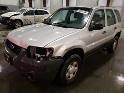 Salvage cars for sale at Avon, MN auction: 2007 Ford Escape XLS