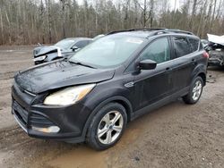 Lots with Bids for sale at auction: 2013 Ford Escape SE