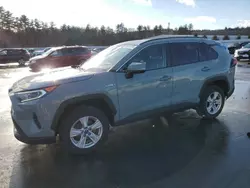 Salvage cars for sale at Windham, ME auction: 2021 Toyota Rav4 XLE