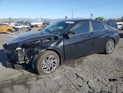 Hyundai Elantra salvage cars for sale: 2024 Hyundai Elantra Blue