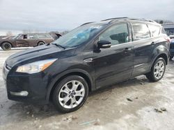 2013 Ford Escape SEL en venta en Wayland, MI