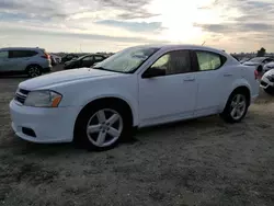 Vehiculos salvage en venta de Copart Antelope, CA: 2013 Dodge Avenger SE