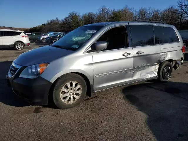 2010 Honda Odyssey EXL