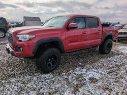 Toyota Tacoma Double cab salvage cars for sale: 2020 Toyota Tacoma Double Cab