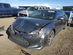 Salvage cars for sale at Brighton, CO auction: 2014 Scion TC