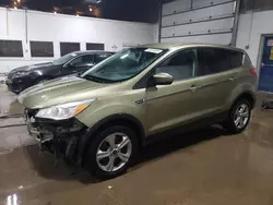 2014 Ford Escape SE en venta en Blaine, MN