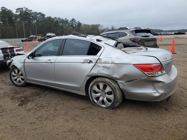 2010 Honda Accord EXL