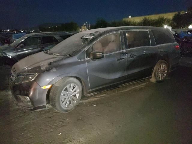 2019 Honda Odyssey LX