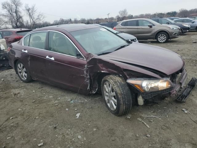 2008 Honda Accord EXL