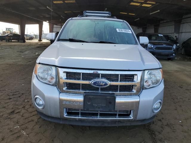 2011 Ford Escape Limited