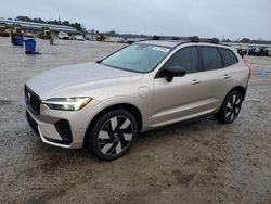 Salvage cars for sale at Harleyville, SC auction: 2024 Volvo XC60 Plus