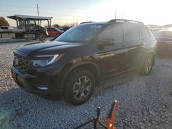 Salvage cars for sale at Taylor, TX auction: 2023 Honda Passport Trail Sport