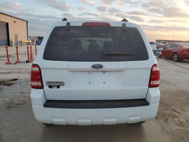 2008 Ford Escape XLT