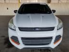 2013 Ford Escape S