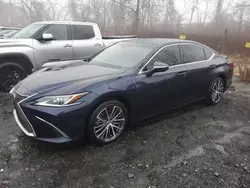 2023 Lexus ES 300H Base en venta en Marlboro, NY