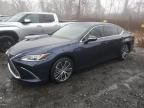 2023 Lexus ES 300H Base