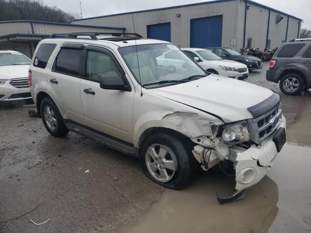 2010 Ford Escape XLT