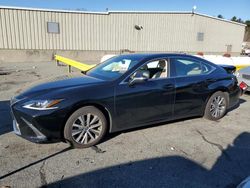 Salvage cars for sale at Exeter, RI auction: 2021 Lexus ES 250 Base