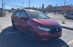 Honda Odyssey sp salvage cars for sale: 2023 Honda Odyssey SPORT-L