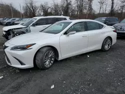 2023 Lexus ES 350 Base en venta en Marlboro, NY