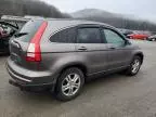 2010 Honda CR-V EXL