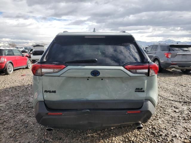 2019 Toyota Rav4 XLE