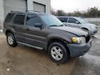 2006 Ford Escape XLT