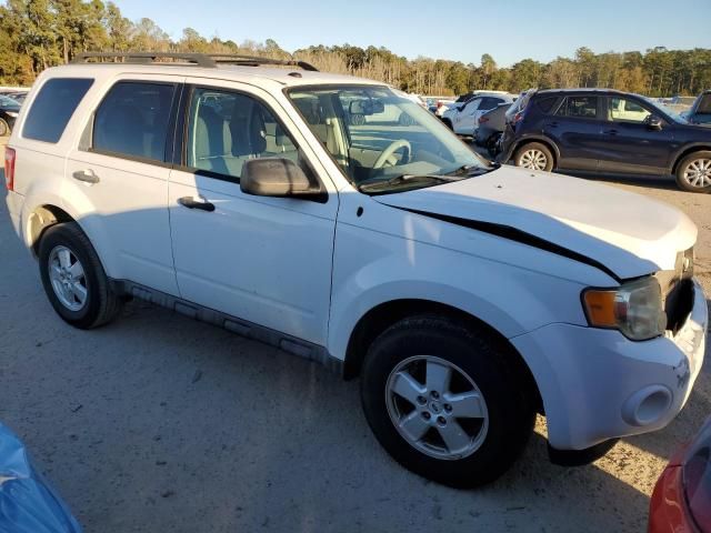 2009 Ford Escape XLT