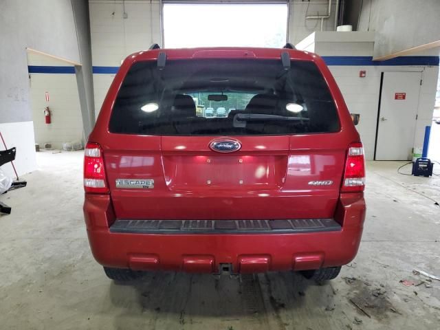 2008 Ford Escape XLT