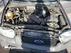 2007 Ford Escape XLT