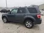 2009 Ford Escape Limited