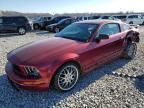 2005 Ford Mustang