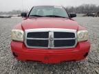 2005 Dodge Dakota SLT