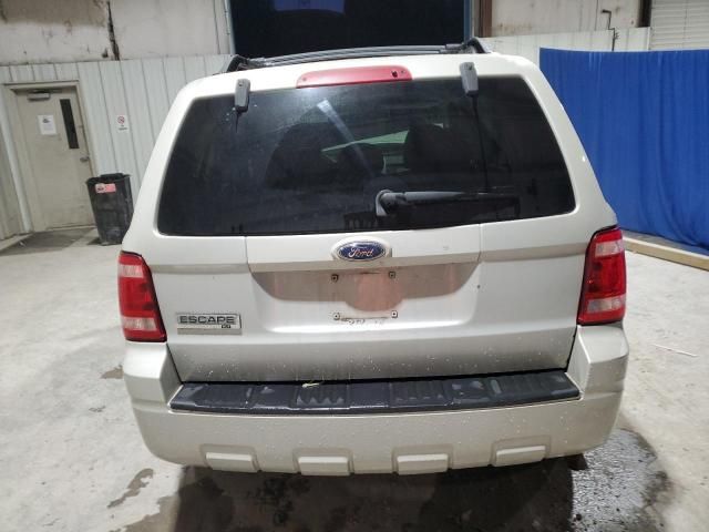 2009 Ford Escape XLT