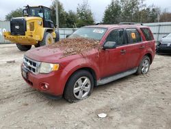 2011 Ford Escape XLT en venta en Midway, FL