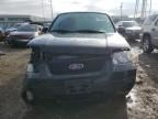 2007 Ford Escape Limited