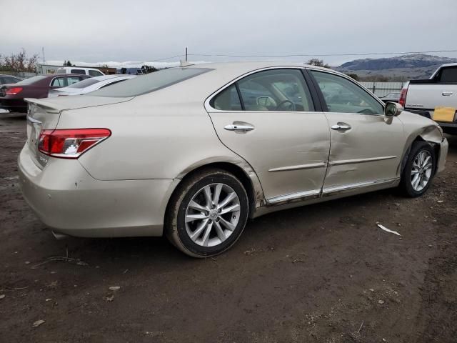 2010 Lexus ES 350