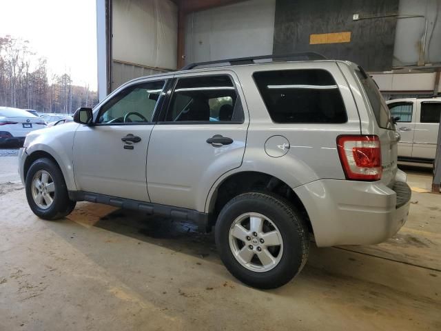 2009 Ford Escape XLT