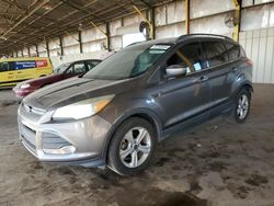 Vehiculos salvage en venta de Copart Phoenix, AZ: 2014 Ford Escape SE