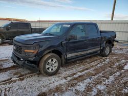 Salvage cars for sale at Rapid City, SD auction: 2024 Ford F150 XL