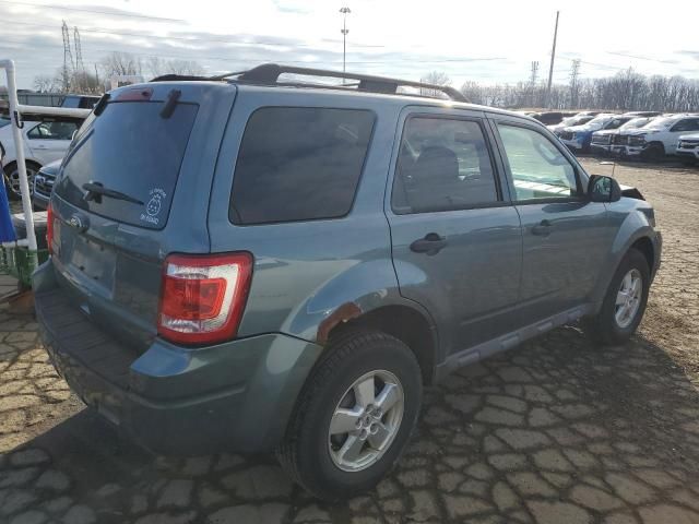 2010 Ford Escape XLT