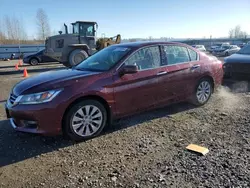 Salvage cars for sale from Copart Arlington, WA: 2014 Honda Accord EXL