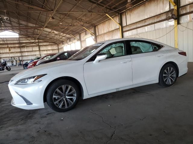 2019 Lexus ES 350