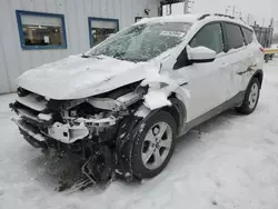 Salvage cars for sale at Pekin, IL auction: 2016 Ford Escape SE