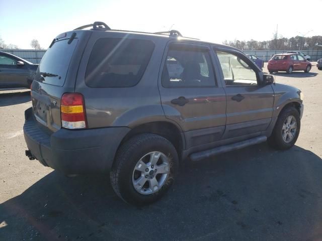 2005 Ford Escape XLT