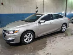 Chevrolet salvage cars for sale: 2023 Chevrolet Malibu LT