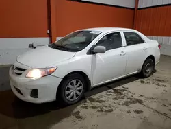 2012 Toyota Corolla Base en venta en Rocky View County, AB