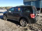 2012 Ford Escape XLS