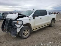 Chevrolet Silverado ltd k1500 lt tr salvage cars for sale: 2022 Chevrolet Silverado LTD K1500 LT Trail Boss