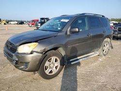 Salvage cars for sale at Houston, TX auction: 2010 Toyota Rav4